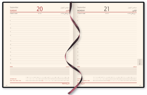 Executive daily diary layout